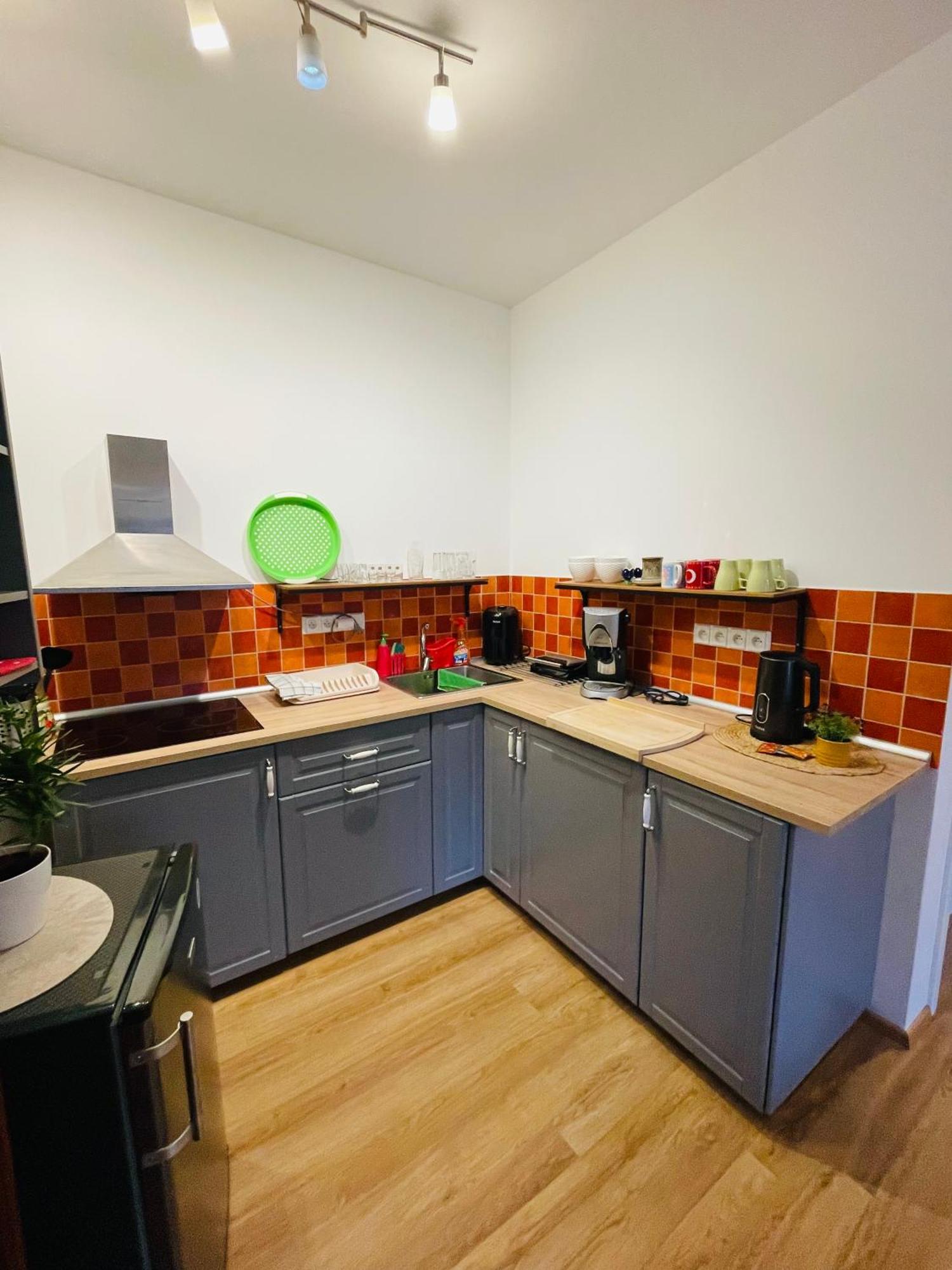 Apartman U Splavu Teplice nad Metují Exterior foto